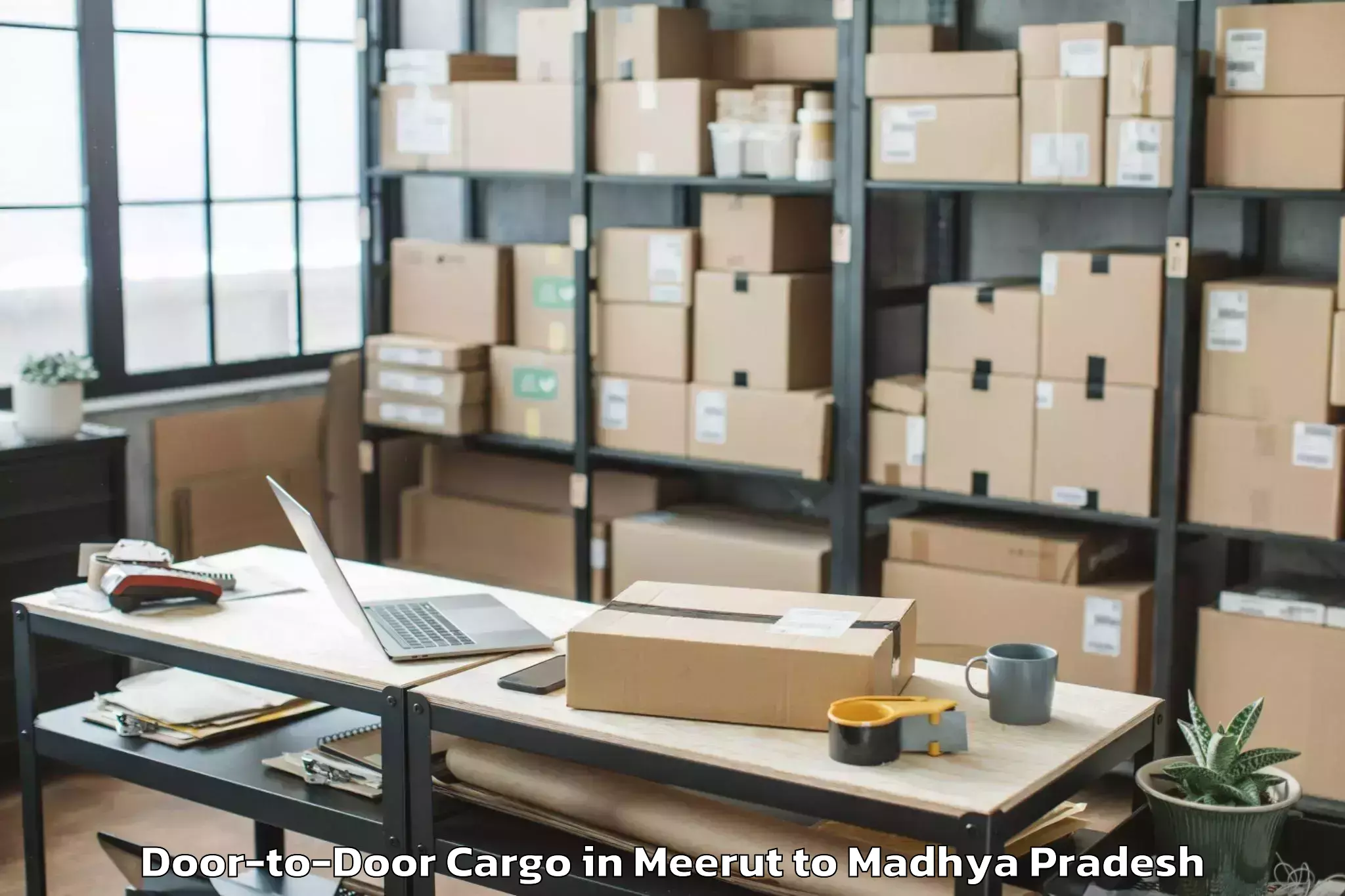 Professional Meerut to Vikram University Ujjain Door To Door Cargo